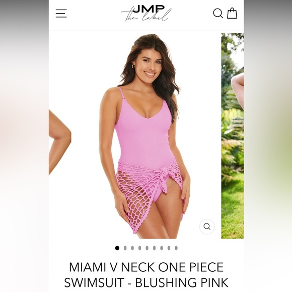 MIAMI V NECK ONE PIECE SWIMSUIT - BLUSHING PINK - Picture 1 of 6